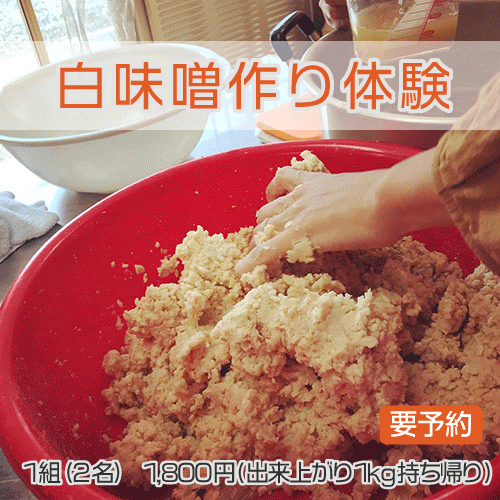 白味噌作り体験